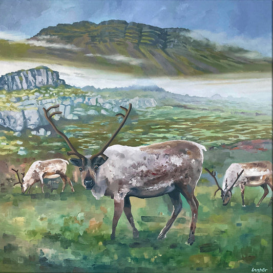 Hreindýraþokan